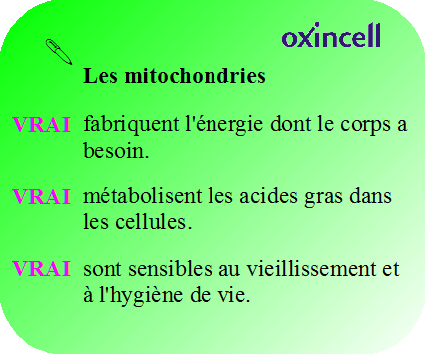 Oxincell-memo mitochondries