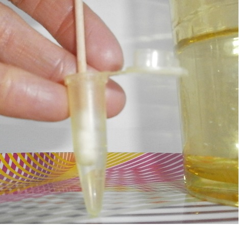 Oxincell- modalités du test Oxincell- modalités du test